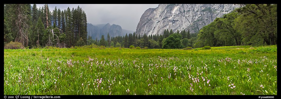 Cook Meadow, spring storm, looking towards Catheral Rocks. Yosemite National Park (color)