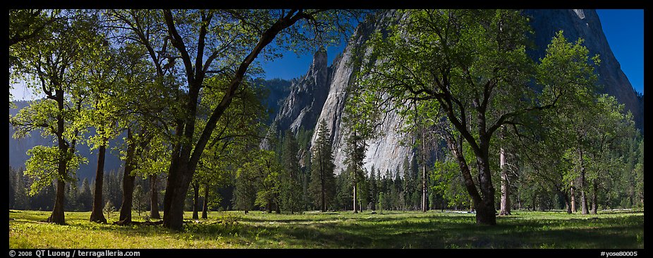 El Capitan Meadows, Black Oaks and Cathedral Rocks. Yosemite National Park, California, USA.
