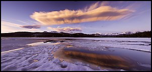 Snow-covered Twolumne Meadows and big cloud at sunset. Yosemite National Park (Panoramic color)