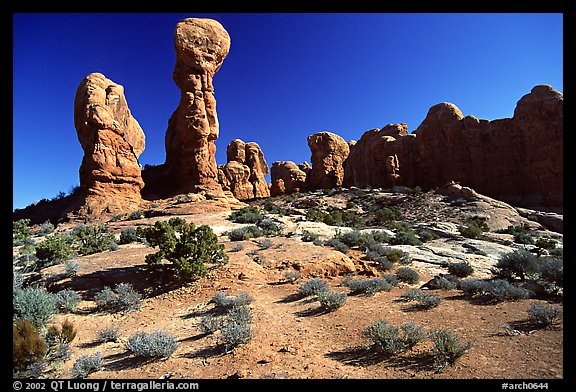 Garden of  Eden, a cluster of pinnacles and monoliths. Arches National Park, Utah, USA.
