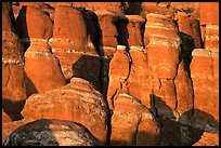 Sandstone fins at Fiery Furnace, sunset. Arches National Park, Utah, USA.