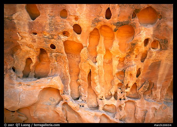 Holes in sandstone wall near Navajo Arch. Arches National Park, Utah, USA.