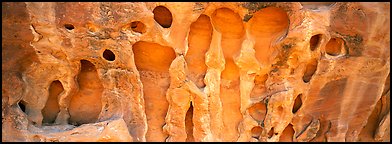 Hollow patterns in sandstone. Arches National Park (Panoramic color)