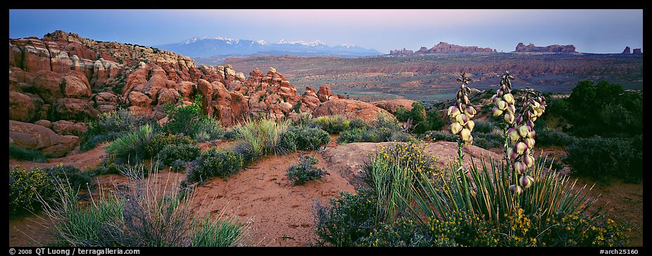 Fiery Furnace sandstone fins and mountains at dusk. Arches National Park (color)