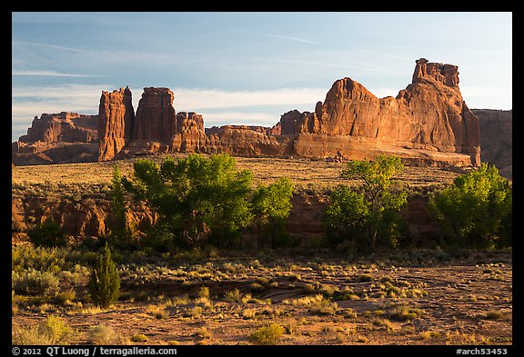 Cottonwoods of Courthouse Wash and Courthouse Towers. Arches National Park, Utah, USA.