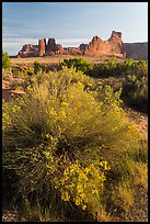 Shrub, cottonwoods and sandstone towers. Arches National Park ( color)