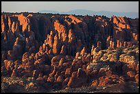 Fiery Furnace fins on hillside. Arches National Park ( color)