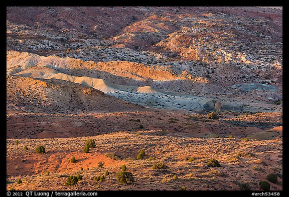 Last light on shrubs and rocks. Arches National Park (color)
