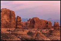 Entrada Sandstone towers seen from Garden of Eden at sunset. Arches National Park ( color)