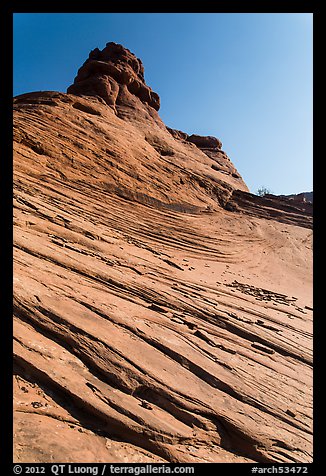 Sandstone swirls. Arches National Park (color)