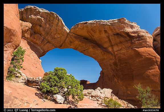 Juniper and Broken Arch. Arches National Park, Utah, USA.