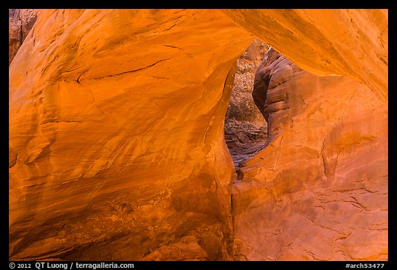 Sand Dune Arch detail. Arches National Park, Utah, USA.