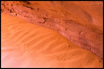 Sand ripples near wall with animal tracks. Arches National Park, Utah, USA. (color)