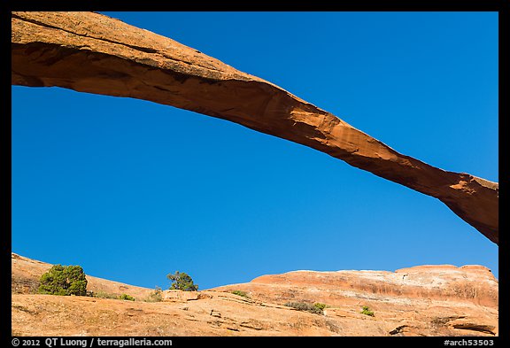 Span of Landscape Arch, longuest natural arch. Arches National Park, Utah, USA.