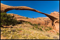 290 feet span of landscape Arch. Arches National Park, Utah, USA. (color)