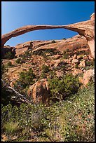 Landscape Arch with fallen boulders. Arches National Park, Utah, USA. (color)