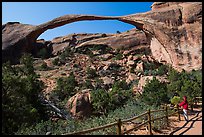 Visitor looking, Landscape Arch. Arches National Park, Utah, USA. (color)