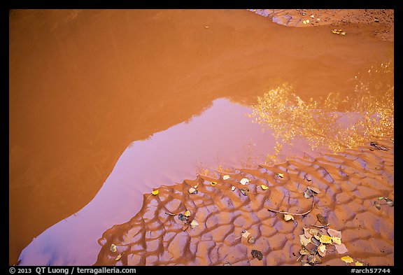 Mud and canyon reflection, Courthouse Wash. Arches National Park (color)