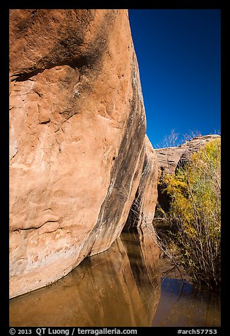 Sandstone cliffs reflected in stream, Courthouse Wash. Arches National Park, Utah, USA.
