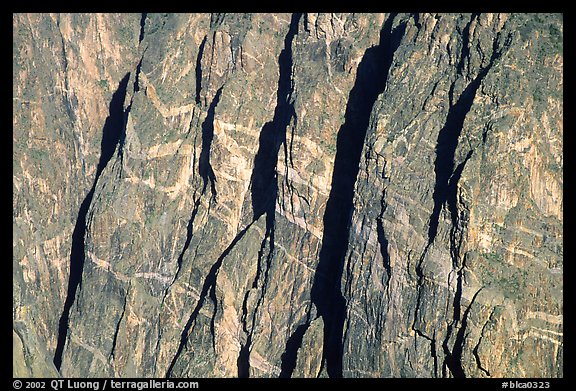 Detail of the Painted wall. Black Canyon of the Gunnison National Park