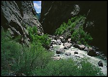 Gunisson River in narrow gorge in spring. Black Canyon of the Gunnison National Park, Colorado, USA.