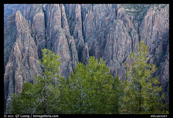 Pegmatite dikes. Black Canyon of the Gunnison National Park (color)