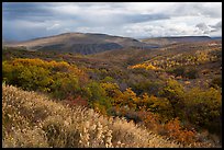 Rolling hills and storm in autumn. Black Canyon of the Gunnison National Park, Colorado, USA. (color)