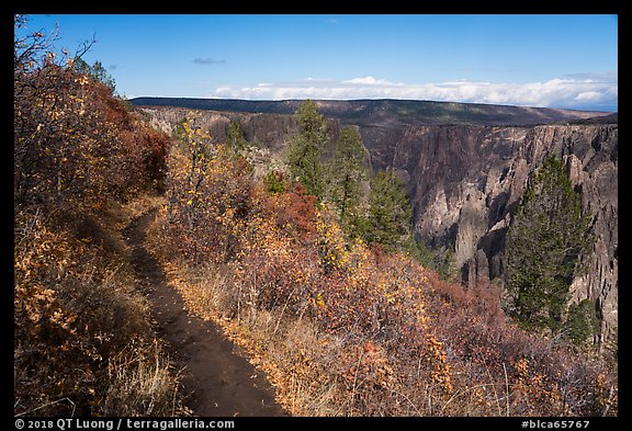Oak Flat Trail. Black Canyon of the Gunnison National Park (color)