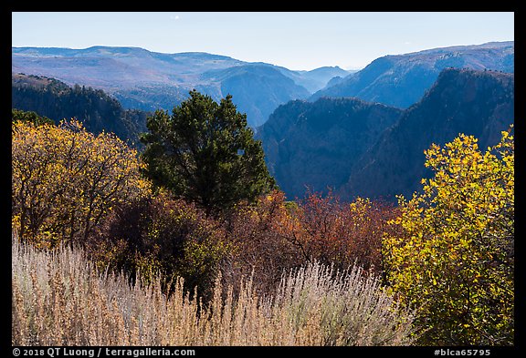 Tomichi Point in the autumn. Black Canyon of the Gunnison National Park, Colorado, USA.