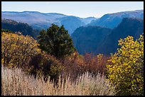 Tomichi Point in the autumn. Black Canyon of the Gunnison National Park ( color)