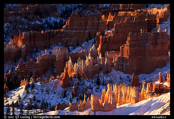 Shadows and lights, Bryce Amphitheater from Sunrise Point, morning. Bryce Canyon National Park (color)