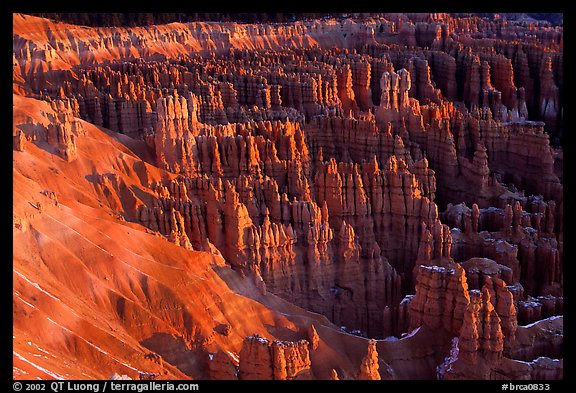 Silent City dense cluster of hoodoos from Bryce Point, sunrise. Bryce Canyon National Park (color)