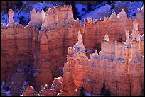 Backlit Hoodoos, mid-morning. Bryce Canyon National Park ( color)