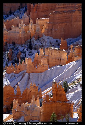 Snowy ridges and hoodoos, Bryce Amphitheater, early morning. Bryce Canyon National Park (color)