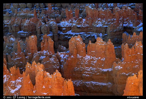 Glowing Hoodoos from Sunset Point, afternoon. Bryce Canyon National Park, Utah, USA.