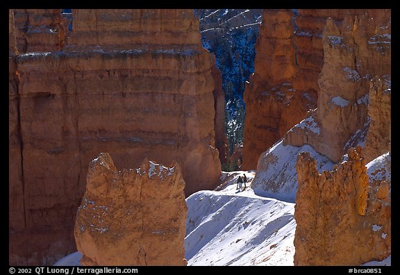 Navajo Trail in winter. Bryce Canyon National Park, Utah, USA.
