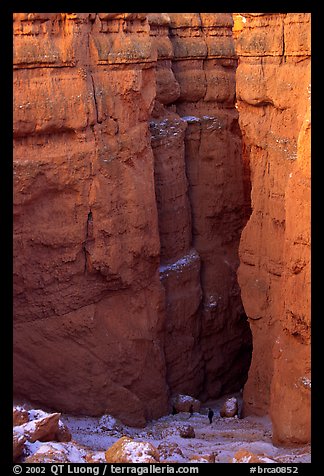 Navajo Trail descending between Hoodoos. Bryce Canyon National Park (color)
