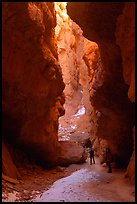 Hikers in Wall Street Gorge. Bryce Canyon National Park ( color)