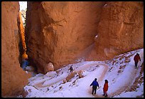 Hikers descending trail in Wall Street Gorge. Bryce Canyon National Park, Utah, USA.