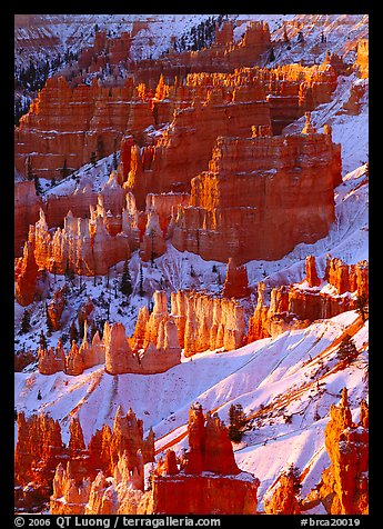 Hoodoos and snow from Sunrise Point, winter sunrise. Bryce Canyon National Park, Utah, USA.