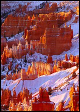 Hoodoos and snow from Sunrise Point, winter sunrise. Bryce Canyon National Park, Utah, USA.