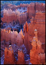 Thor Hammer and hoodoos, mid-morning. Bryce Canyon National Park ( color)