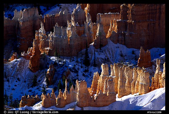 Hoodoos and shadows from Sunrise Point, early winter morning. Bryce Canyon National Park (color)