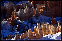 Hoodoos and shadows from Sunrise Point, early winter morning. Bryce Canyon National Park, Utah, USA. (color)