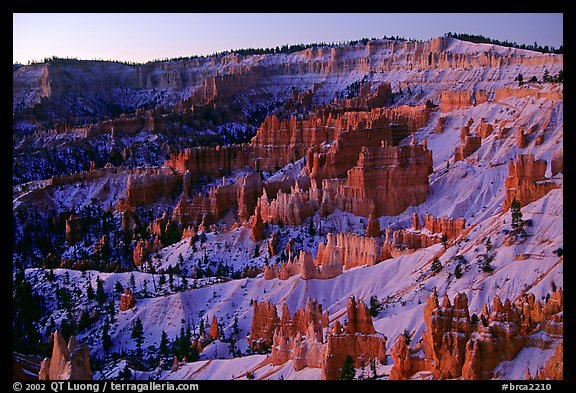 Bryce amphitheater from Sunrise Point, dawn. Bryce Canyon National Park (color)