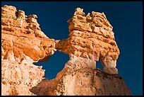 Hoodoos and windows. Bryce Canyon National Park ( color)