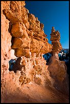 Pink limestone hoodoos, Water Canyon. Bryce Canyon National Park, Utah, USA.