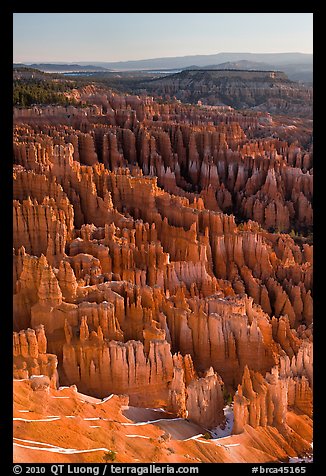 Tightly packed hoodoos from Bryce Point, sunrise. Bryce Canyon National Park (color)