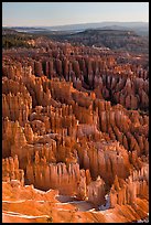 Tightly packed hoodoos from Bryce Point, sunrise. Bryce Canyon National Park ( color)