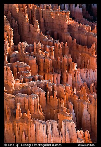Easily eroded and soft limestone hoodoos. Bryce Canyon National Park (color)